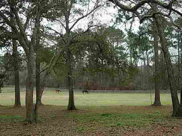 7865 Proctor Road Tallahassee, FL 32309 - Photo 7 of 25 Gallery Image 7