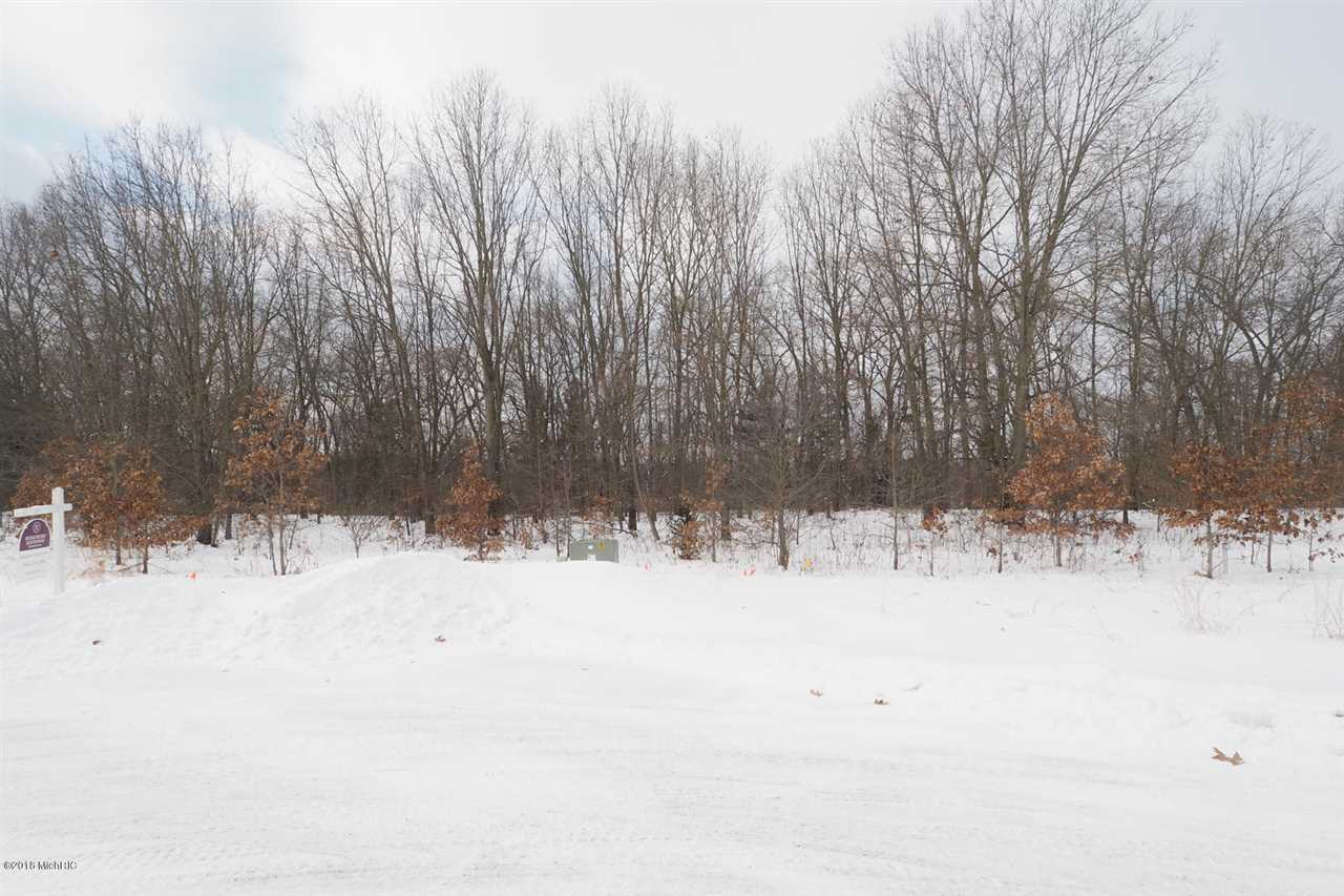 17 River Ridge Drive Grand Junction, MI 49056 - Photo 1 of 3