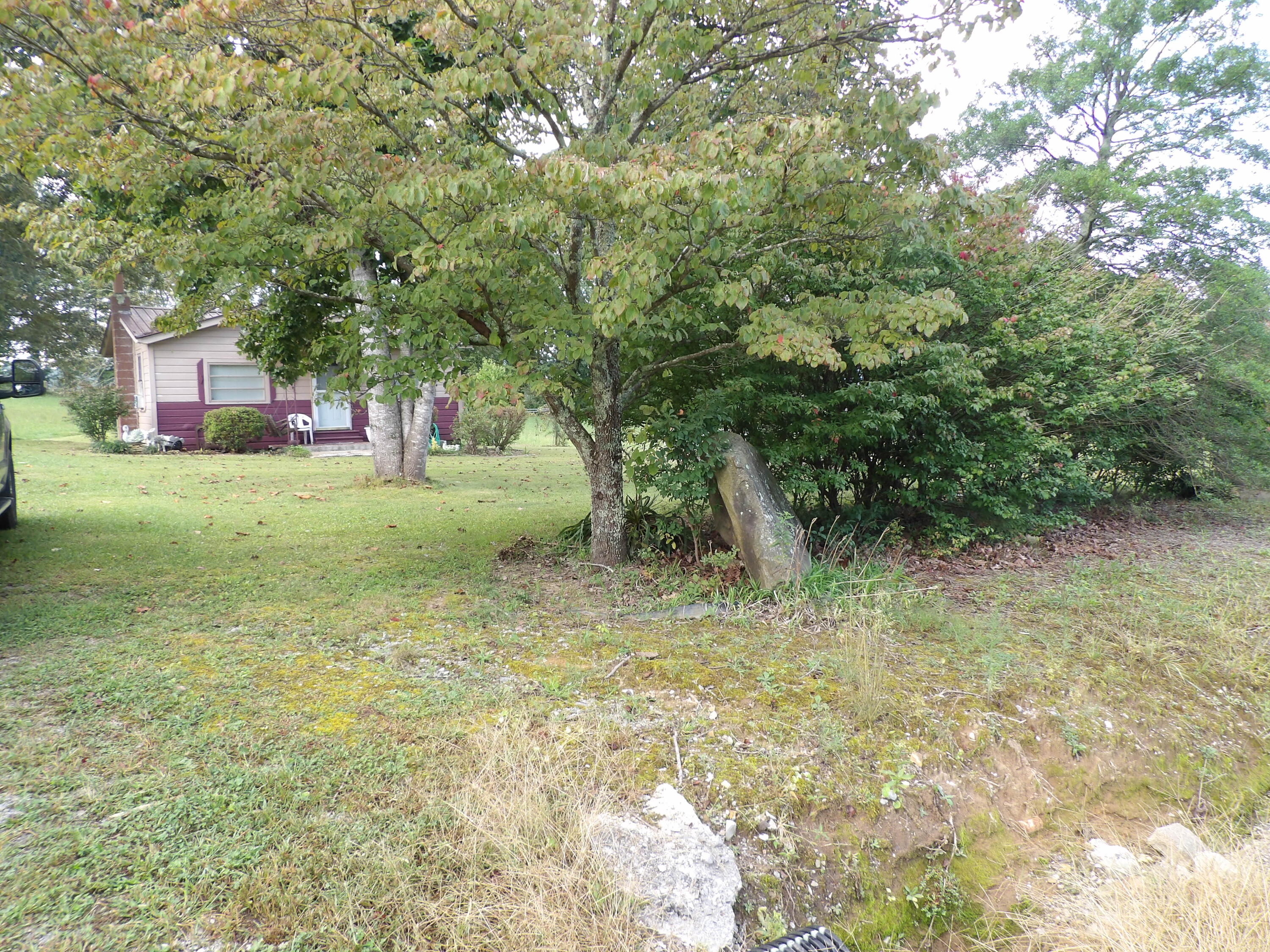 1236 Panter Bottom Road Pikeville, TN 37367 - Photo 6 of 30 100_5984