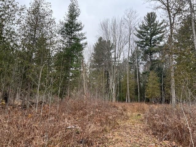 0 North Miller Road East Tawas, MI 48730 - Photo 17 of 23
