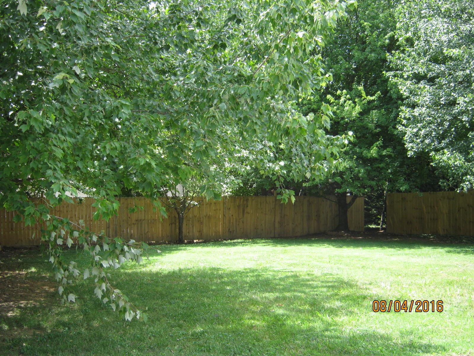2208 Windbrook Road Knoxville, TN 37923 - Photo 7 of 8 Gallery Image 7
