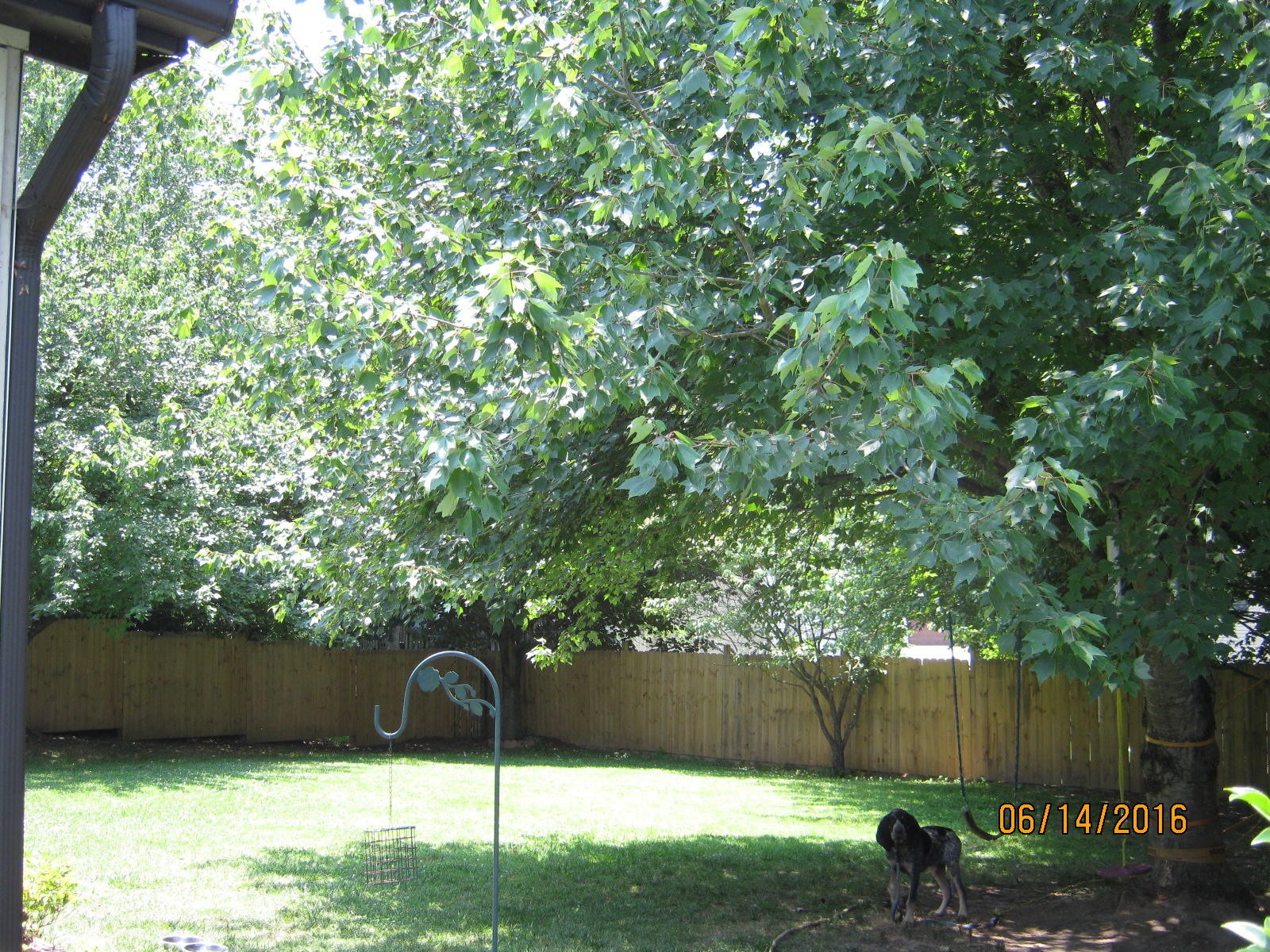 2208 Windbrook Road Knoxville, TN 37923 - Photo 8 of 8 Gallery Image 8