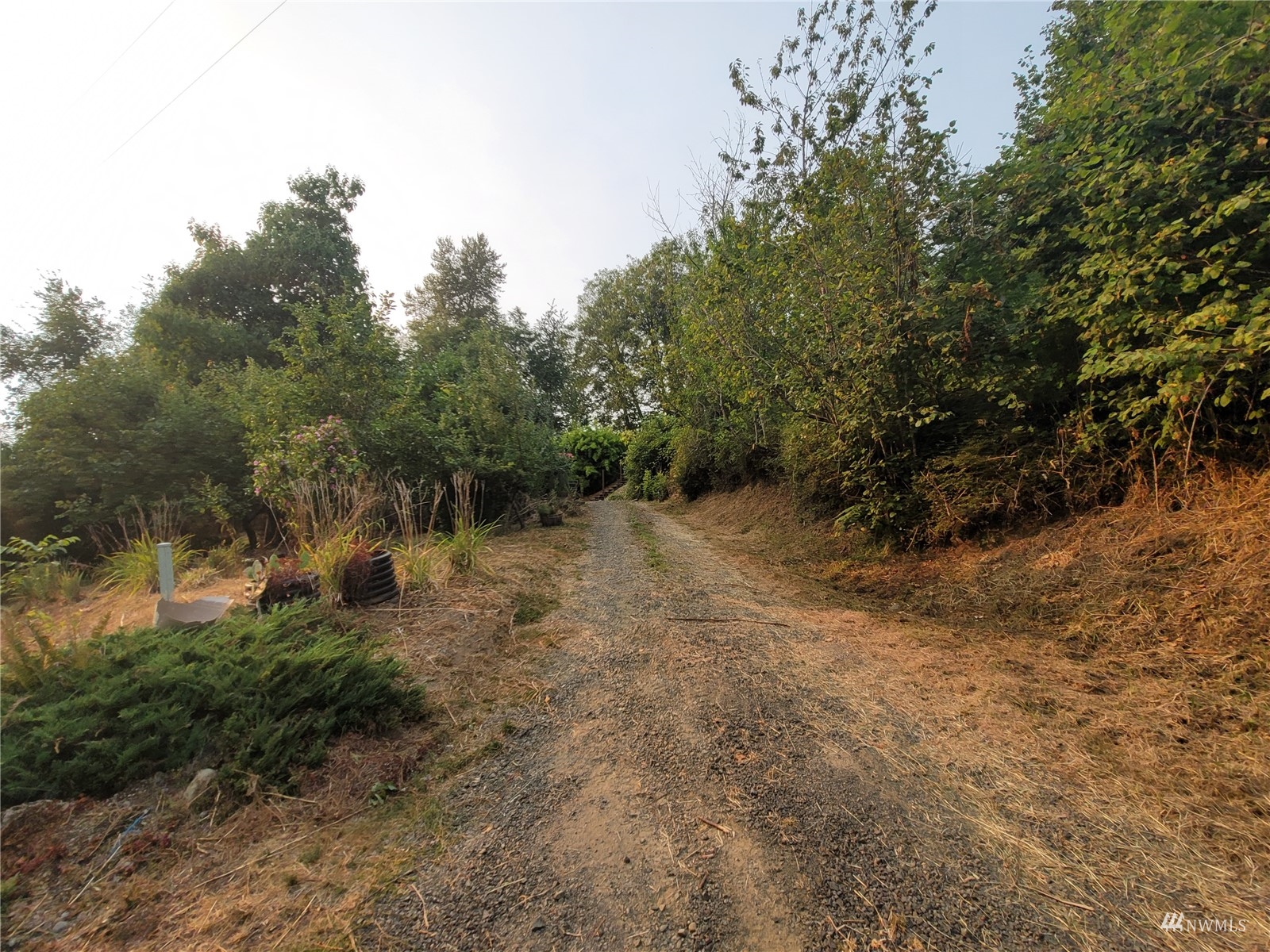 465 Jarvis Road Mossyrock, WA 98564 - Photo 3 of 10 Gallery Image 3