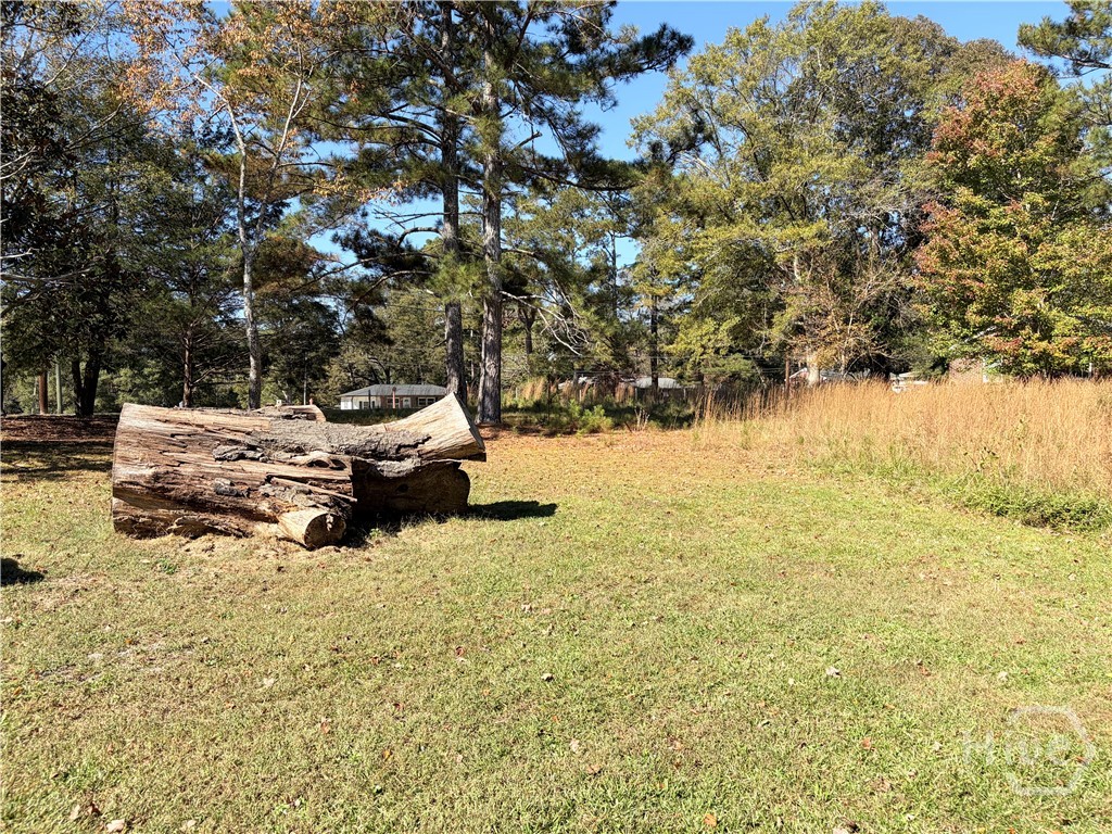 103 Whitehead Circle Athens, GA 30606 - Photo 10 of 28