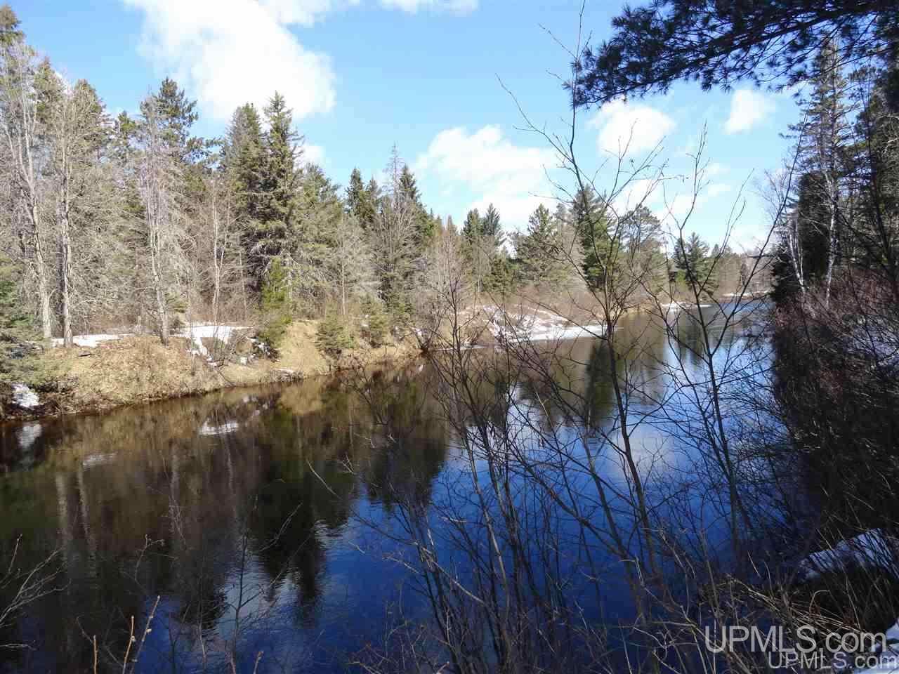 47-acres Chain Of Lakes Road Republic, MI 49879 - Photo 15 of 29