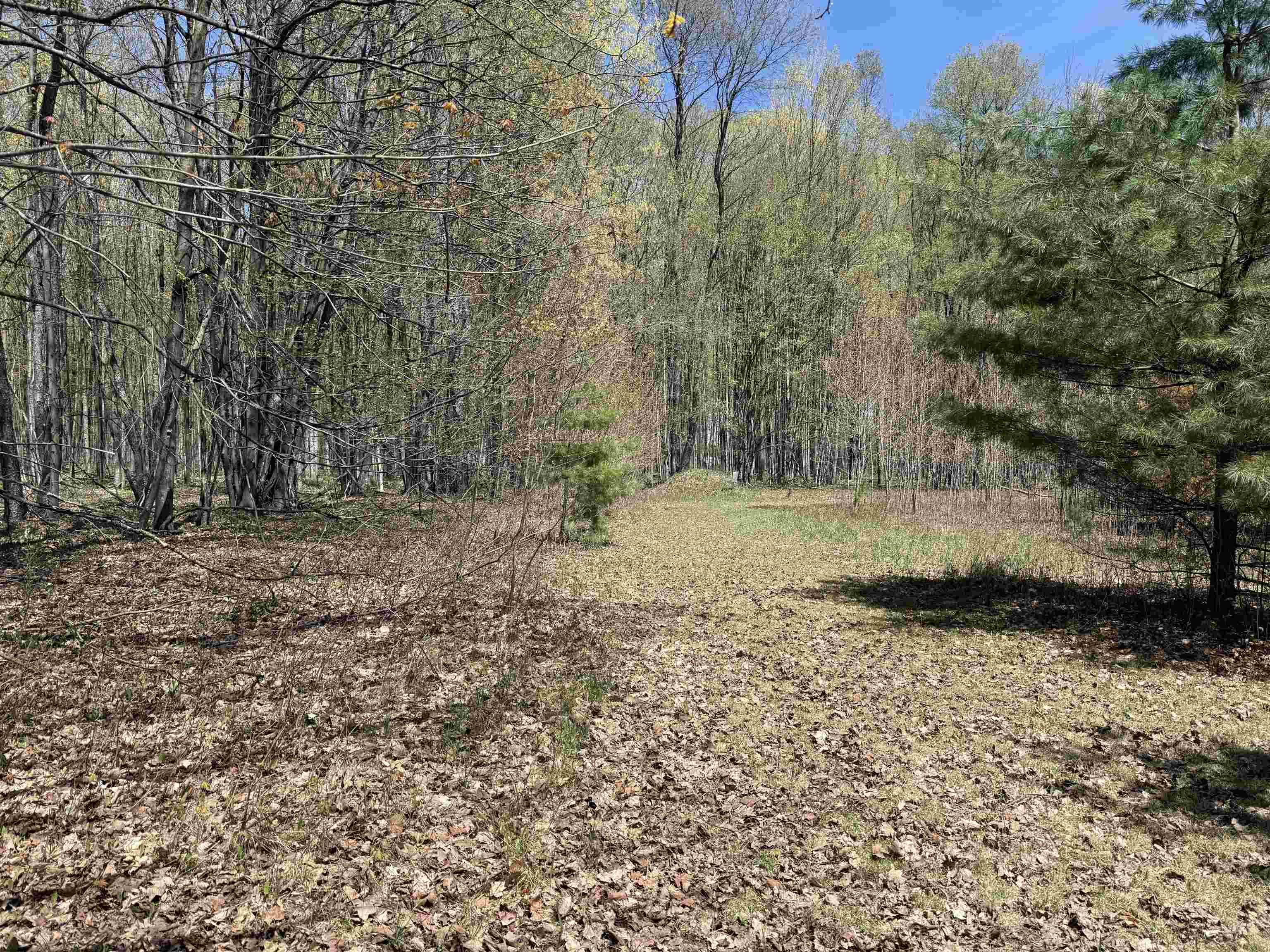 7274 South Forward Road McBain, MI 49657 - Photo 51 of 76