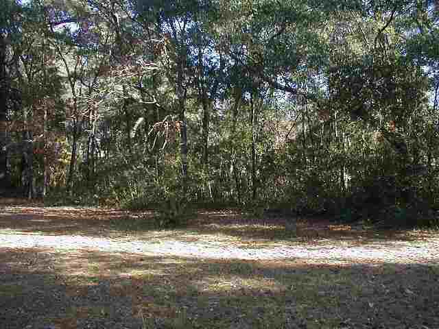 Lot 2 Will Go Avenue Murrells Inlet, SC 29576 - Photo 1 of 6 Gallery Image 1