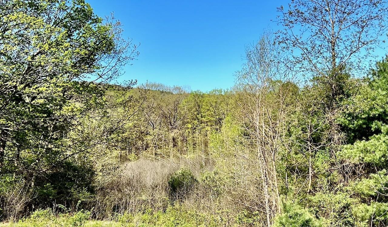 300 Stage Road Chesterfield, NH 03443 - Photo 23 of 33