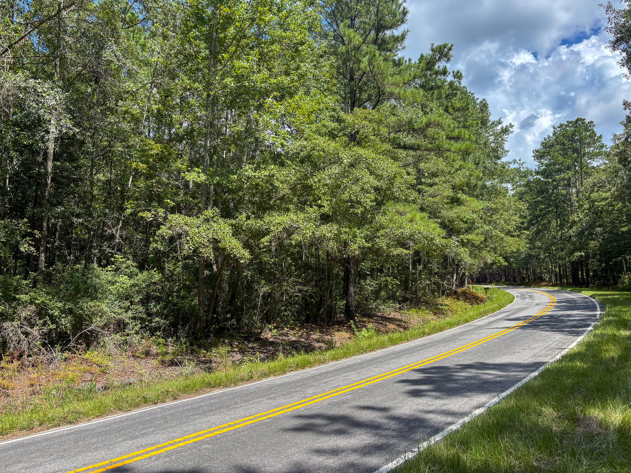 1 Mauss Hill Road Adams Run, SC 29426 - Photo 2 of 2 IMG_0567