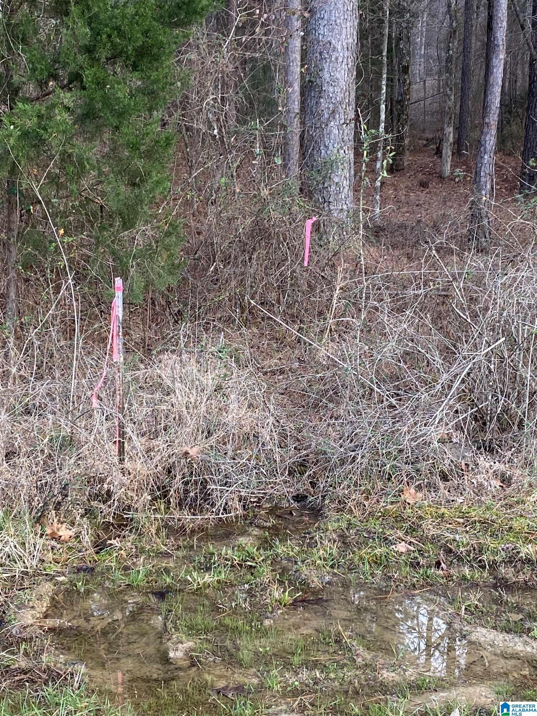 Bridlewood Farms Road, Unit 2 Montevallo, AL 35115 - Photo 23 of 25