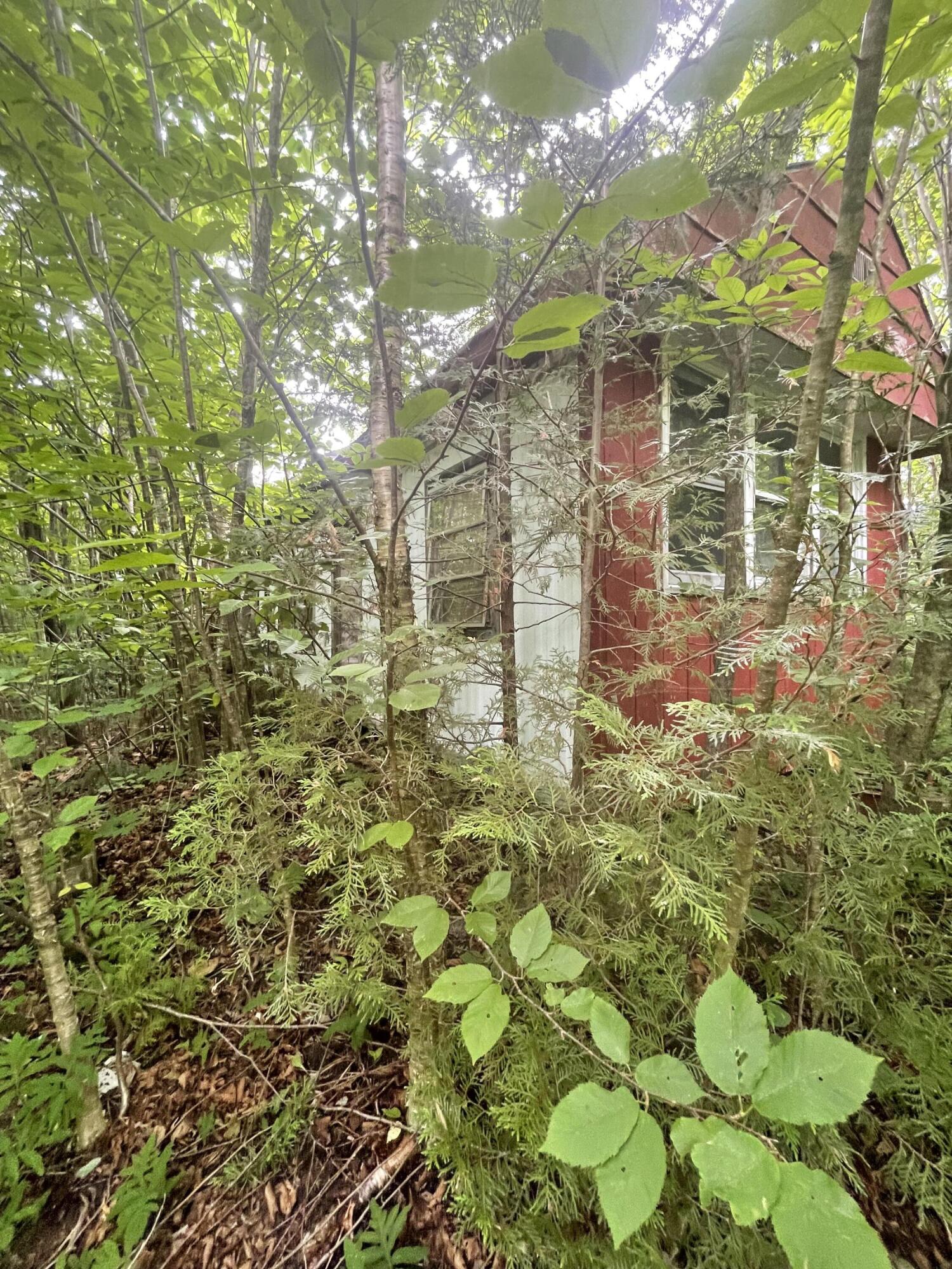 1159 Woodville Road Lincoln, ME 04457 - Photo 4 of 5 IMG_1968