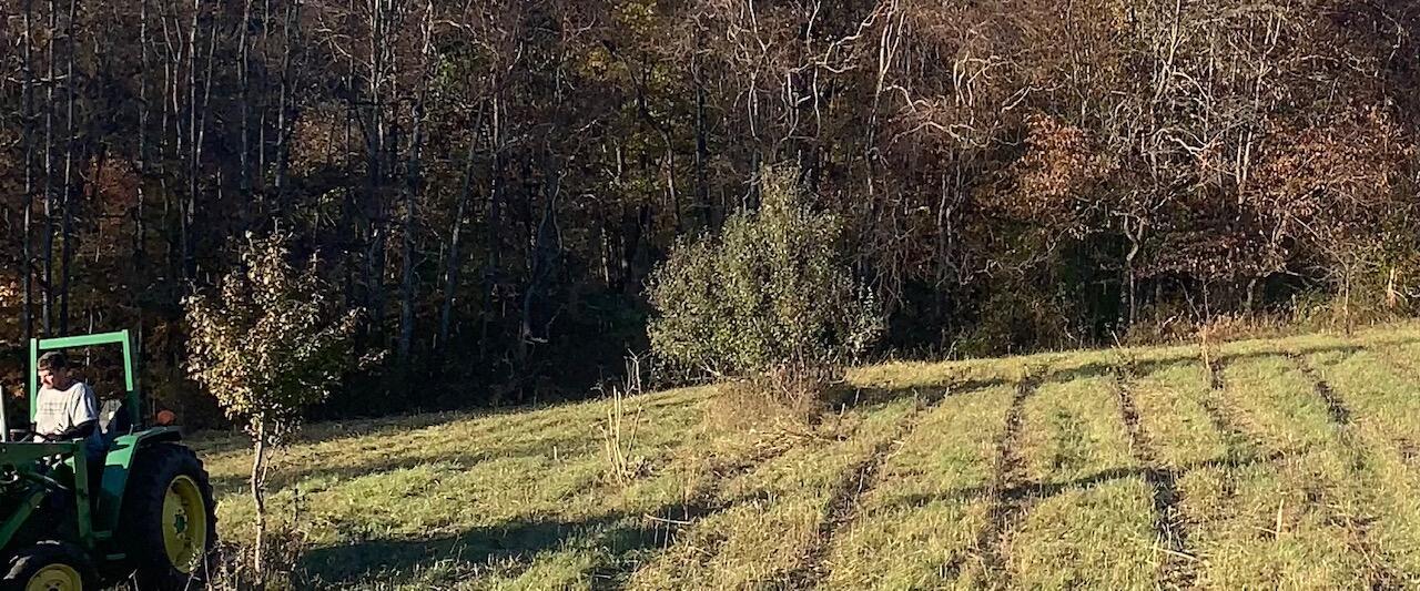 7096 Pleasantview Road Southeast Bremen, OH 43107 - Photo 21 of 30 IMG_7839