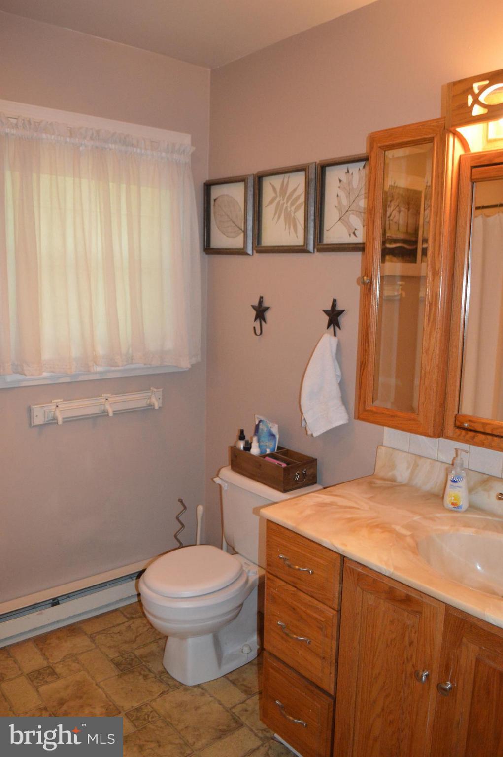 651 Owl Hill Road Lititz, PA 17543 - Photo 12 of 31 Large Redecorated Bath