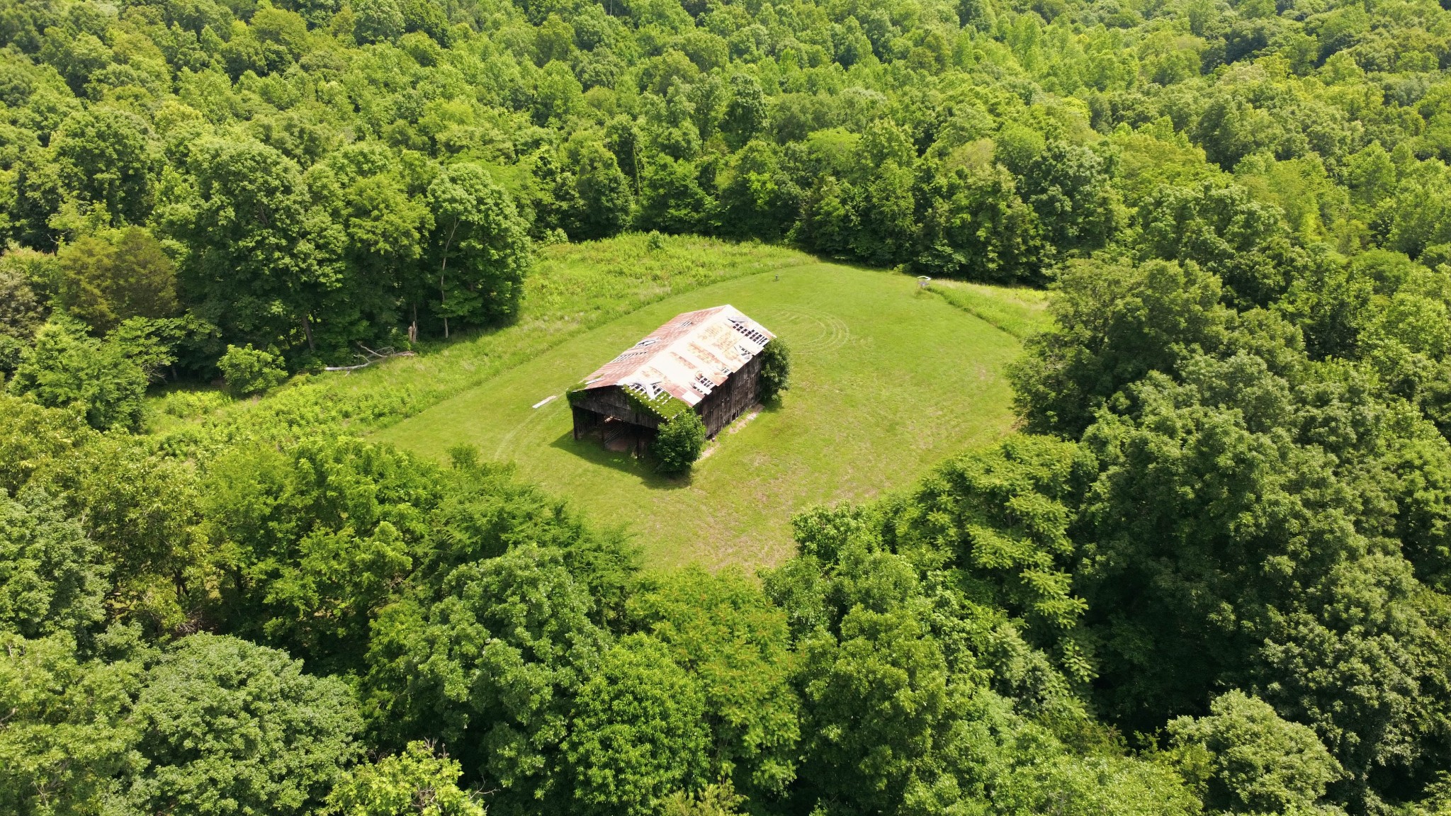 4455 Lylewood Road Indian Mound, TN 37079 - Photo 39 of 41