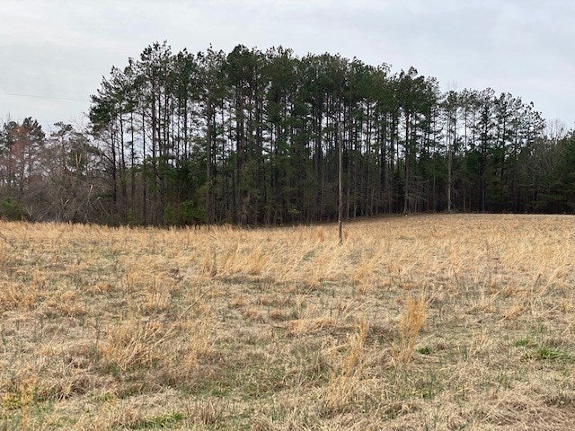 Craig Mill Road, Unit B2 Kenbridge, VA 23944 - Photo 4 of 14 Gallery Image 4