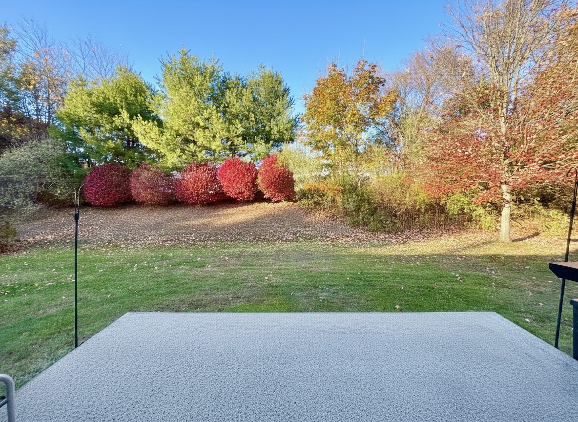 460 Asbury Ridge, Unit 460 Shelton, CT 06484 - Photo 9 of 19 Yard from Patio