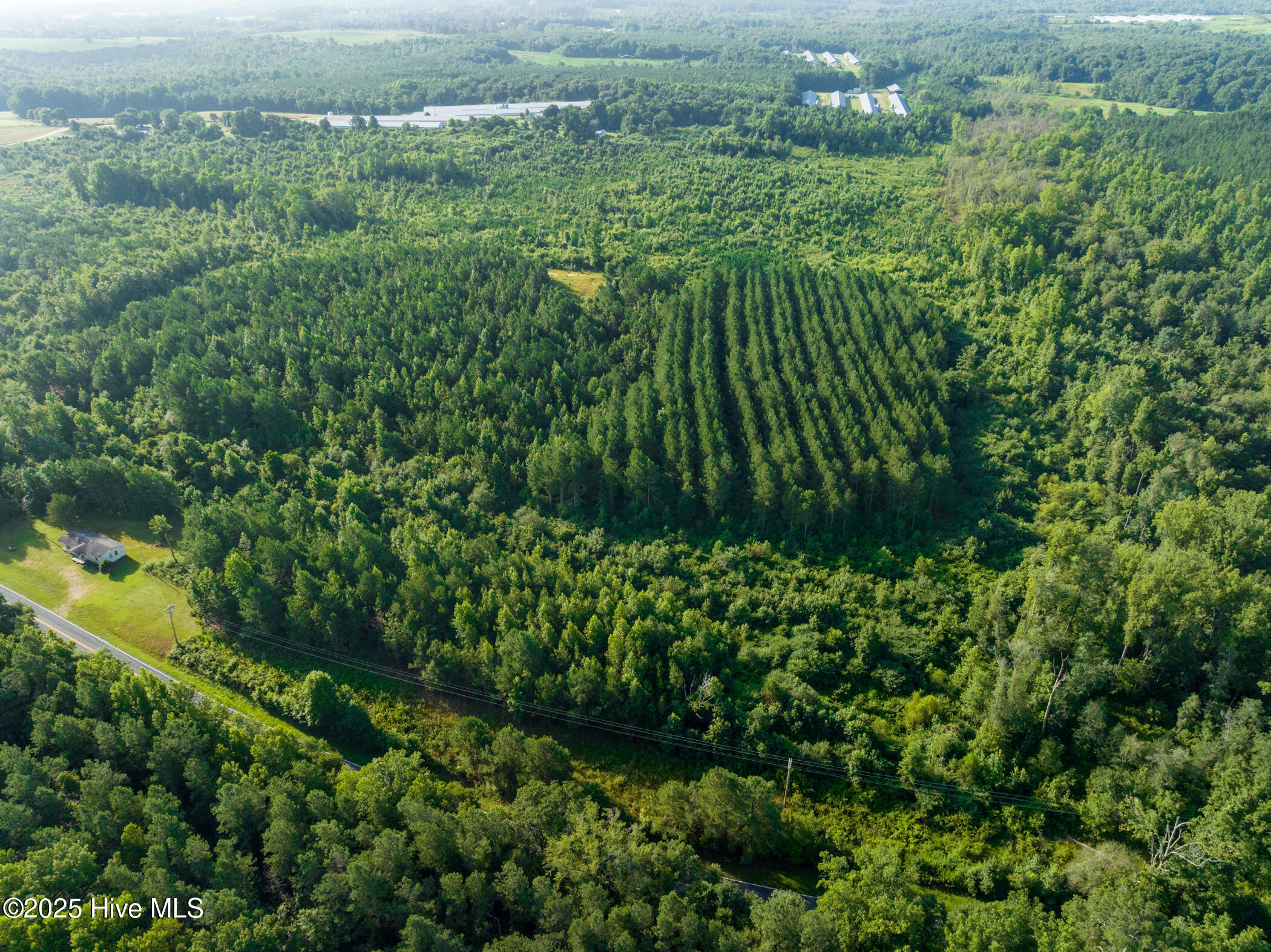 459 Research Farm Road Ellerbe, NC 28338 - Photo 6 of 14 DJI_0250
