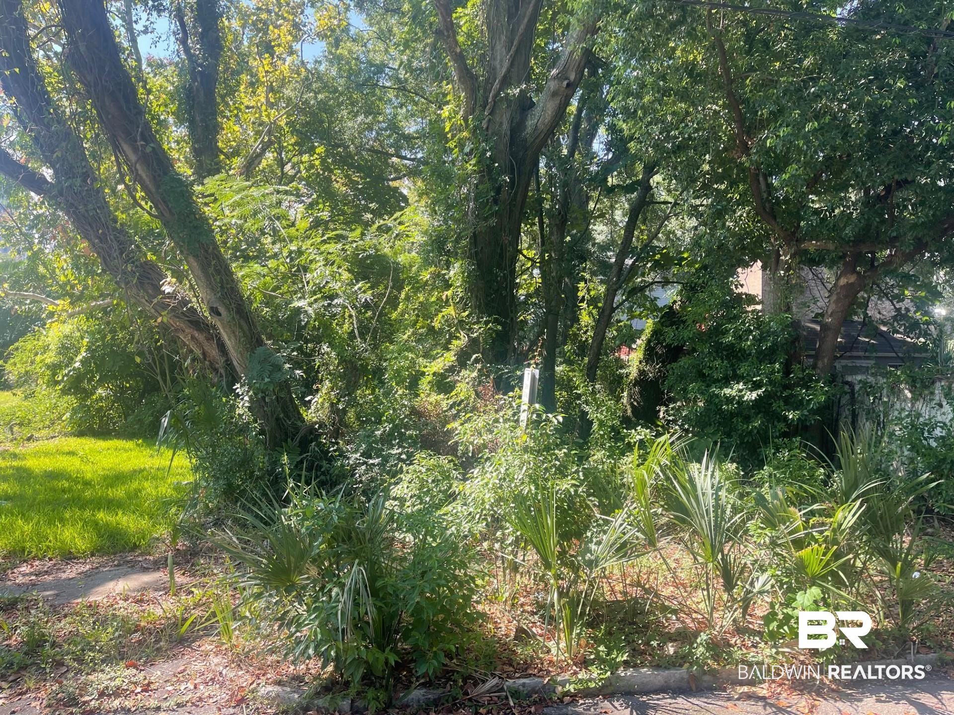 0 Adams Street Mobile, AL 36603 - Photo 2 of 3
