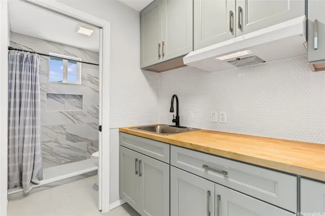 a bathroom with a sink and a shower