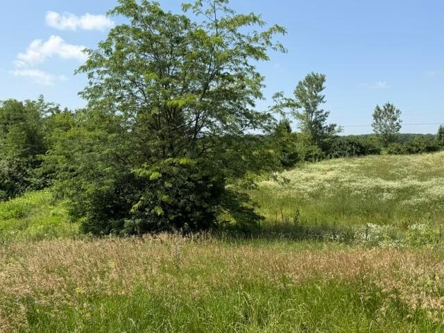 5399 Rosedale-Milford Center Road London, OH 43140 - Photo 28 of 31 Welcome Home! 5399 Rosedale-Milford Center Road, London, OH 43140