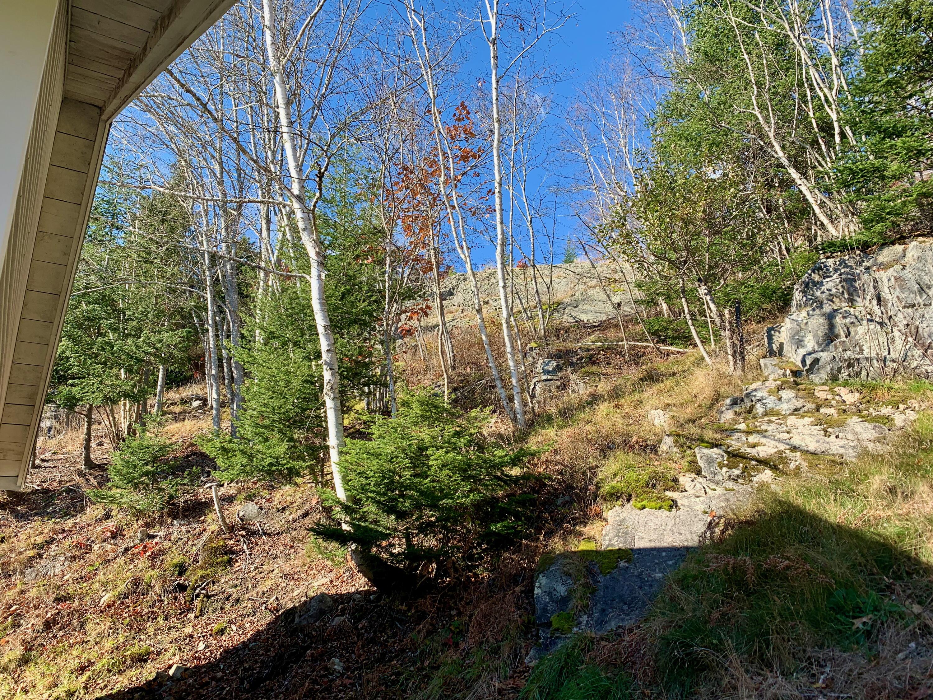258 Rim Road East Machias, ME 04630 - Photo 44 of 56 IMG_8138