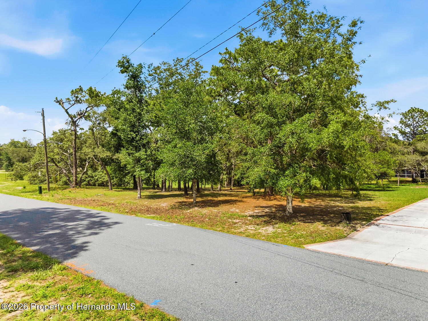 0 Staten Avenue Spring Hill, FL 34609 - Photo 7 of 12