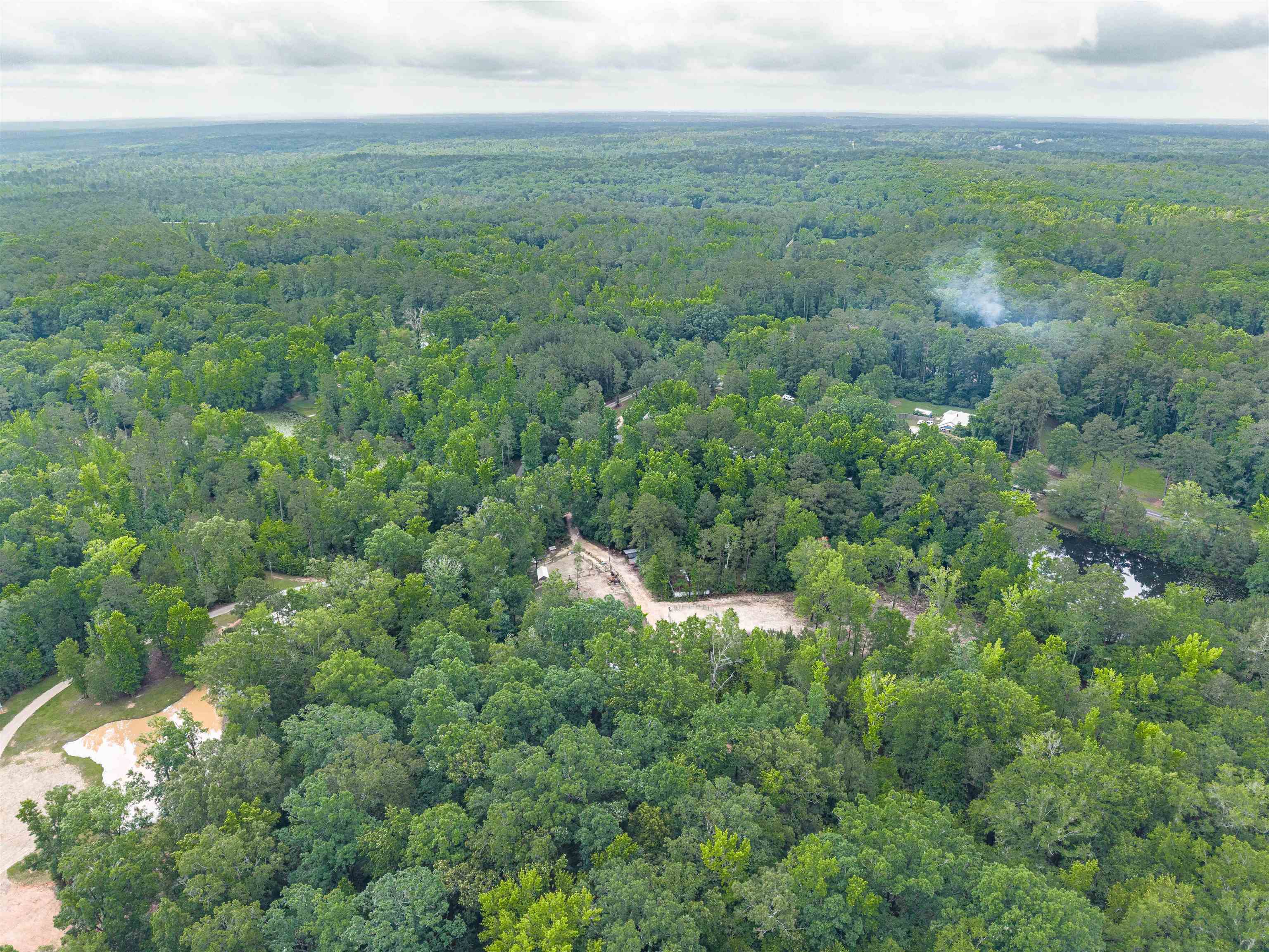 565 Portia Road Blythewood, SC 29016 - Photo 65 of 70