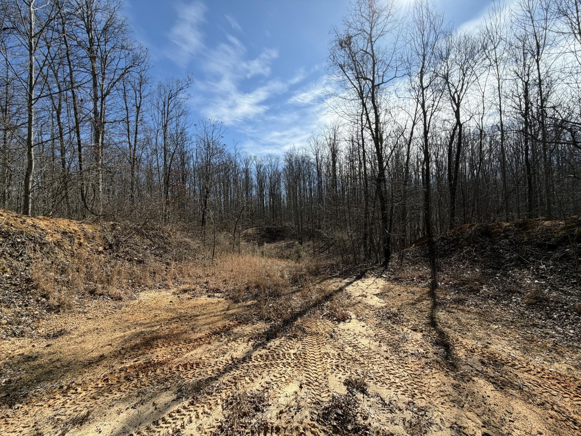 4872 Deer Run Road Pelham, TN 37366 - Photo 24 of 38 a view of small yard