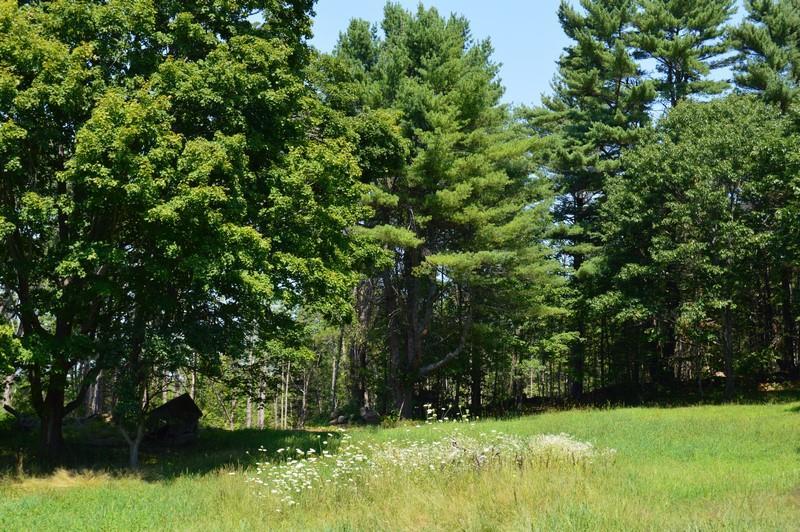 194 Webb Road Pittston, ME 04345 - Photo 6 of 26 Photo