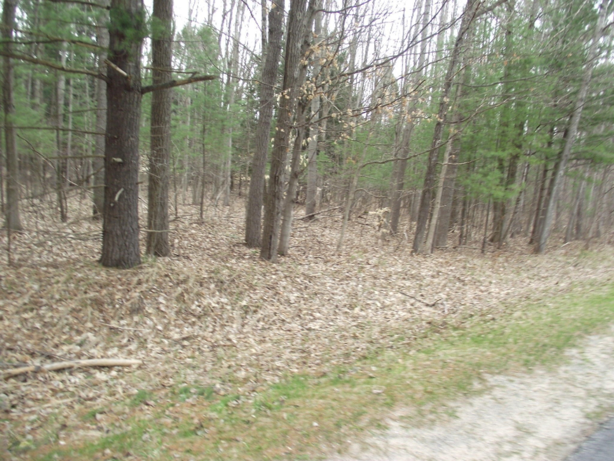 Highbridge Road Brethren, MI 49619 - Photo 16 of 18 DSCF5209