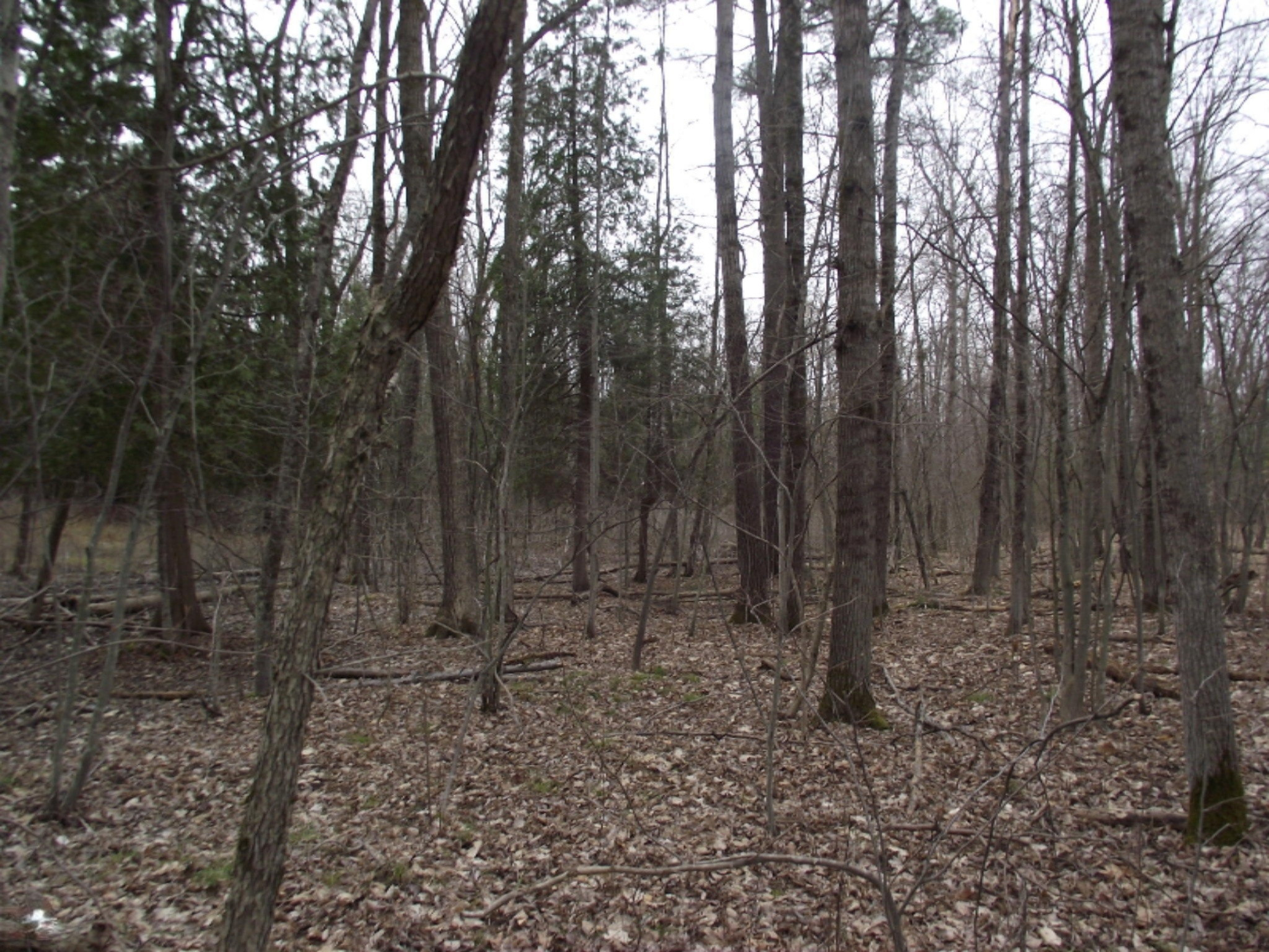 Highbridge Road Brethren, MI 49619 - Photo 6 of 18 DSCF5224