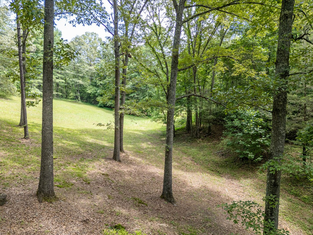 547 Snow Hill Ridge Road Murphy, NC 28906 - Photo 50 of 61
