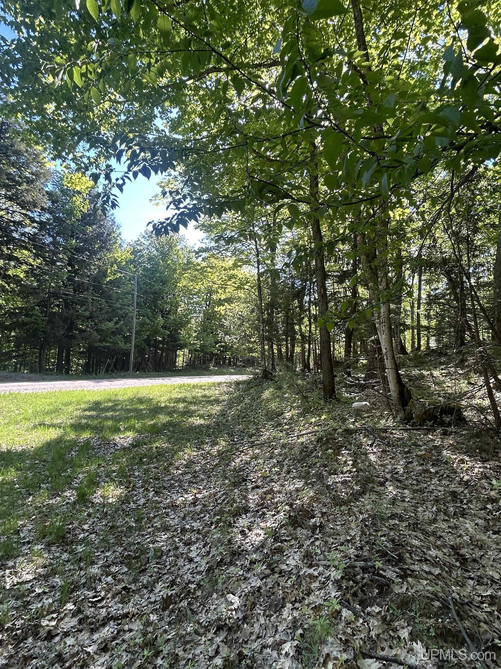 Tbd McClure Dm Road Negaunee, MI 49866 - Photo 12 of 16