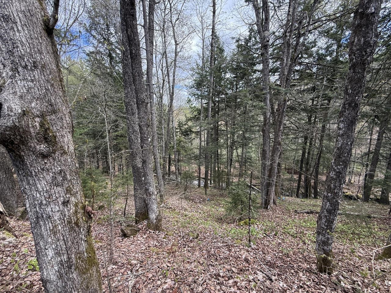 169 Jenkins Brook Road Chelsea, VT 05038 - Photo 23 of 30