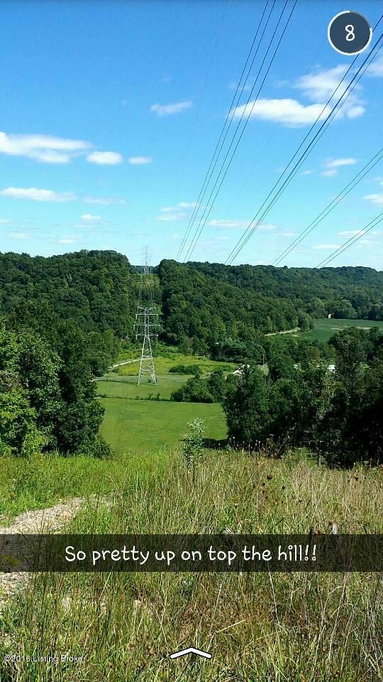 4981 Knob Creek Road Brooks, KY 40109 - Photo 4 of 25 11947607_10207725914489749_7080161854815