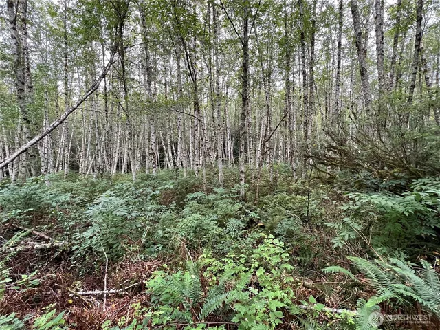 a view of outdoor space and garden