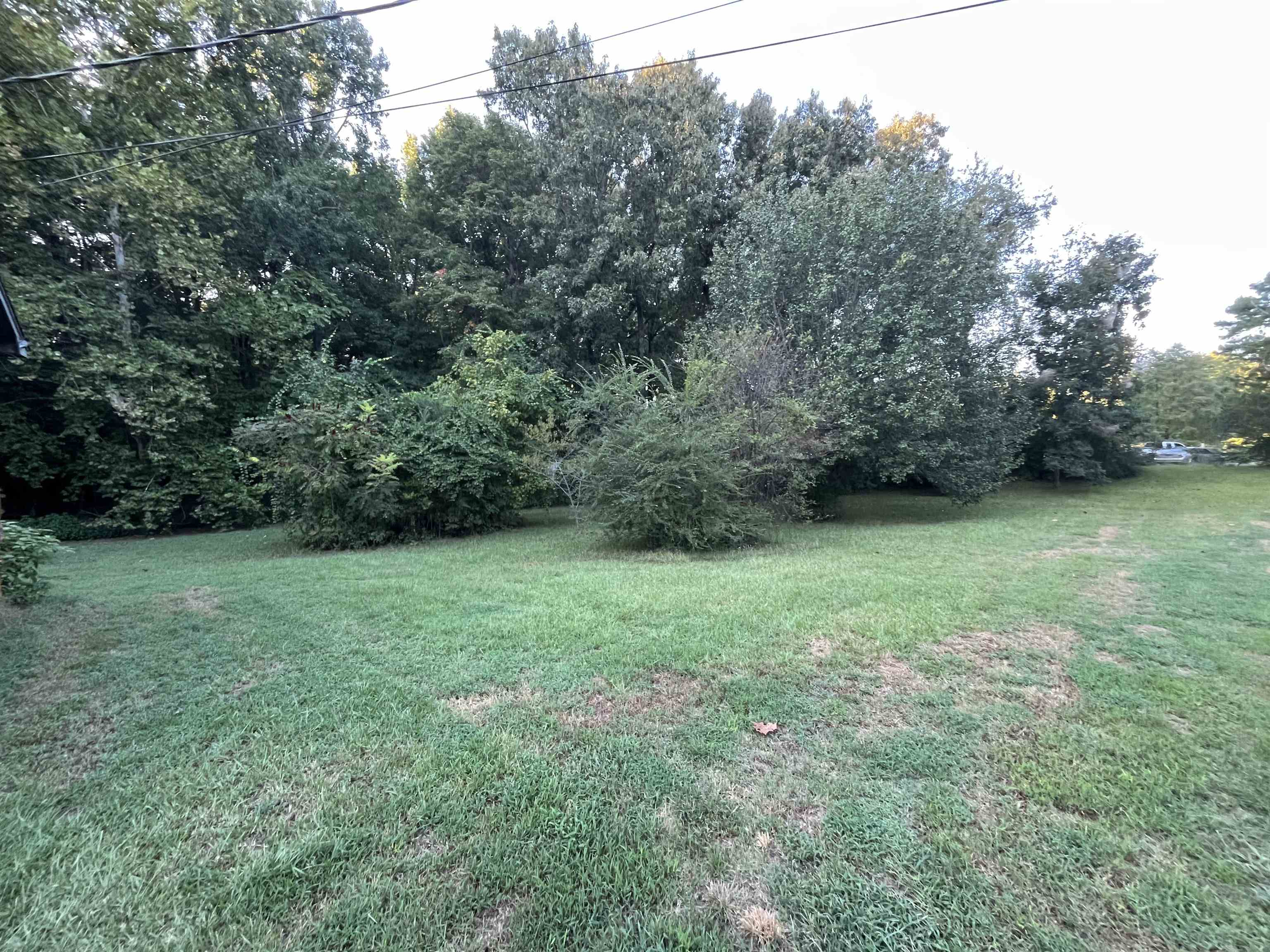 1685 Turner Road Grand Junction, TN 38039 - Photo 2 of 15 Expansive grassy area with mature trees and varied shrubbery