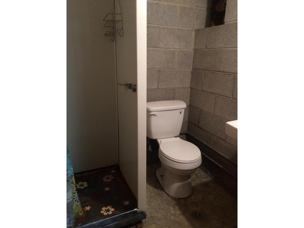 704 East Barton Ridge Road Greeneville, TN 37745 - Photo 22 of 24 Basement Bath