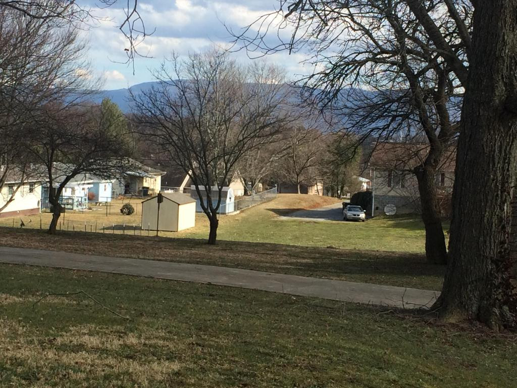 704 East Barton Ridge Road Greeneville, TN 37745 - Photo 6 of 24 Mountain Views from Patio
