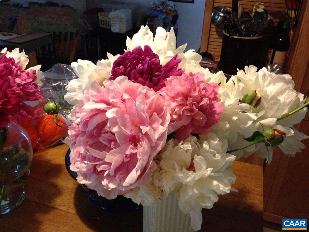 2974 Courthouse Road Louisa, VA 23093 - Photo 47 of 49 a vase of flowers sitting on a table