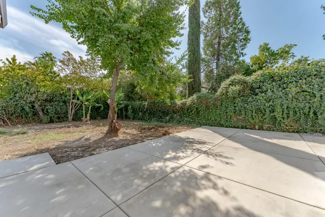 a view of a yard with plants and trees