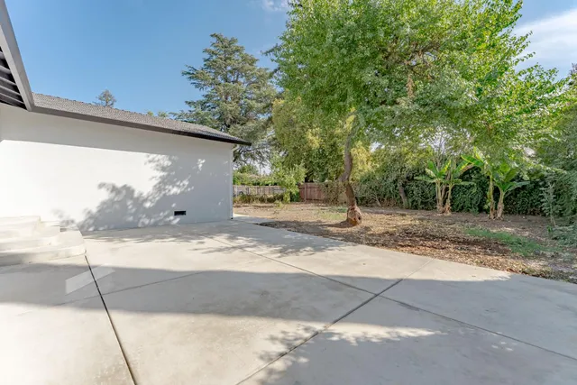 a view of a yard with a tree
