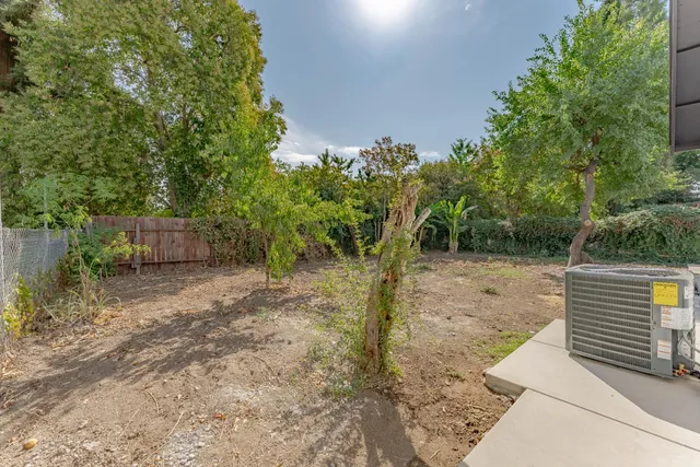 a view of a yard with plants and a trees