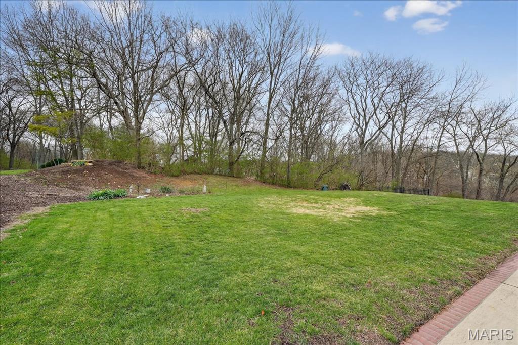 622 Dougherty Terrace Drive Ballwin, MO 63021 - Photo 3 of 45