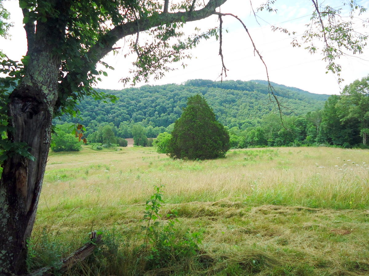 Sinking Cave Road Tellico Plains, TN 37385 - Photo 11 of 35 10-DSC08119