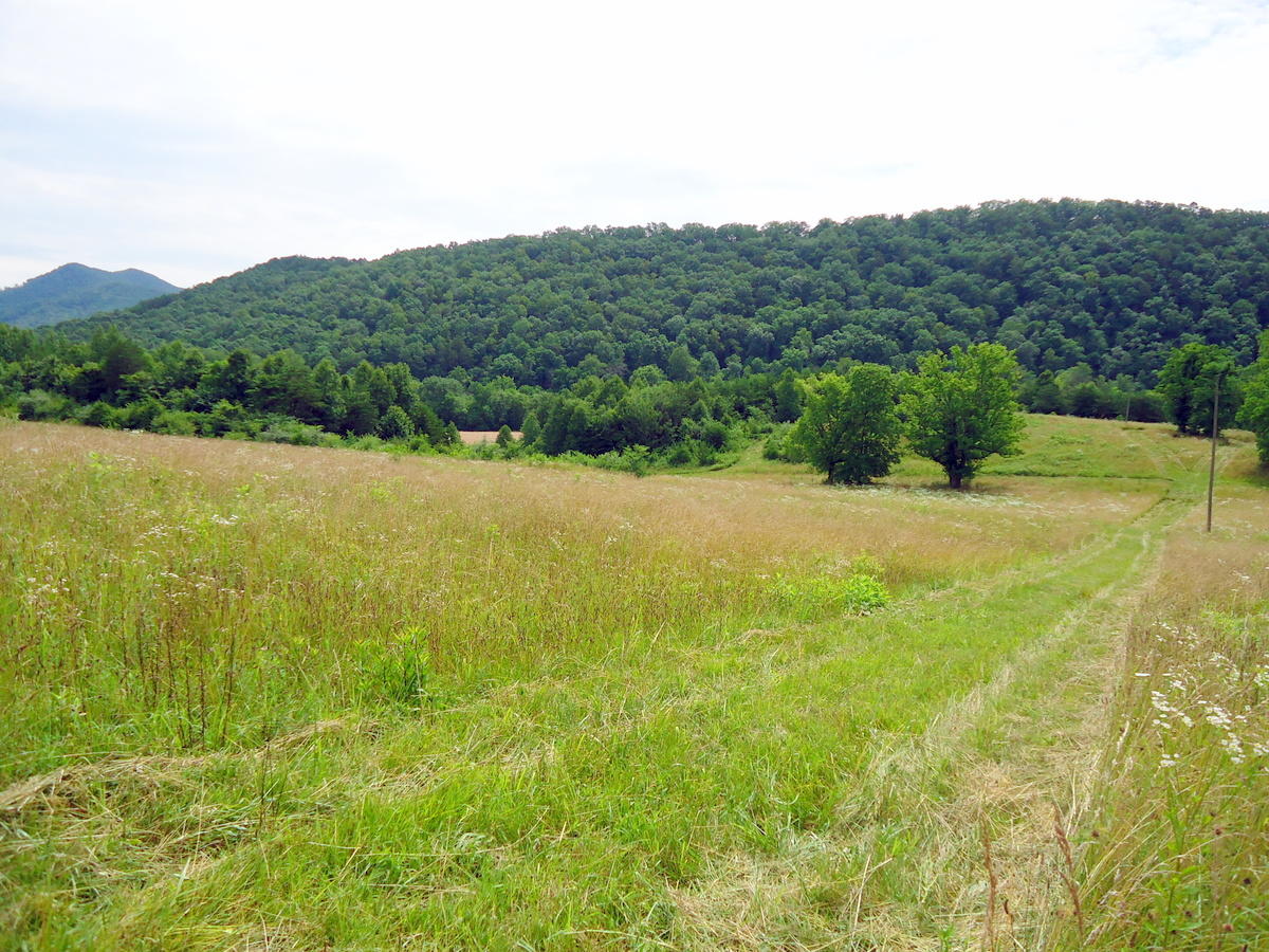 Sinking Cave Road Tellico Plains, TN 37385 - Photo 12 of 35 11-DSC08120