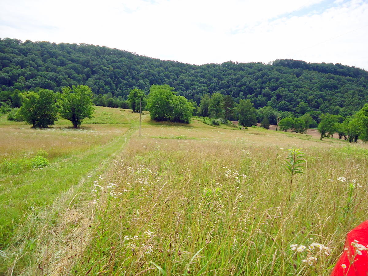 Sinking Cave Road Tellico Plains, TN 37385 - Photo 13 of 35 12-DSC08121