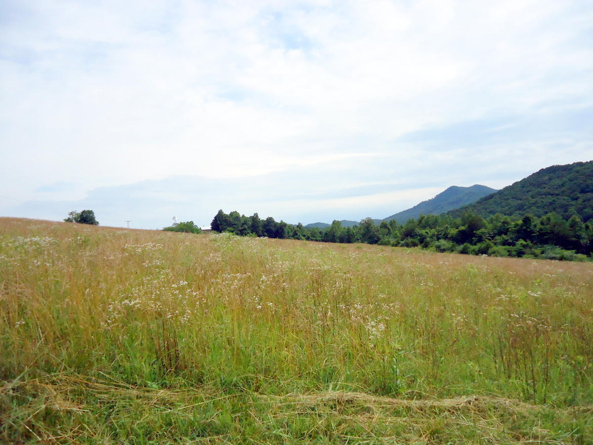 Sinking Cave Road Tellico Plains, TN 37385 - Photo 14 of 35 13-DSC08122