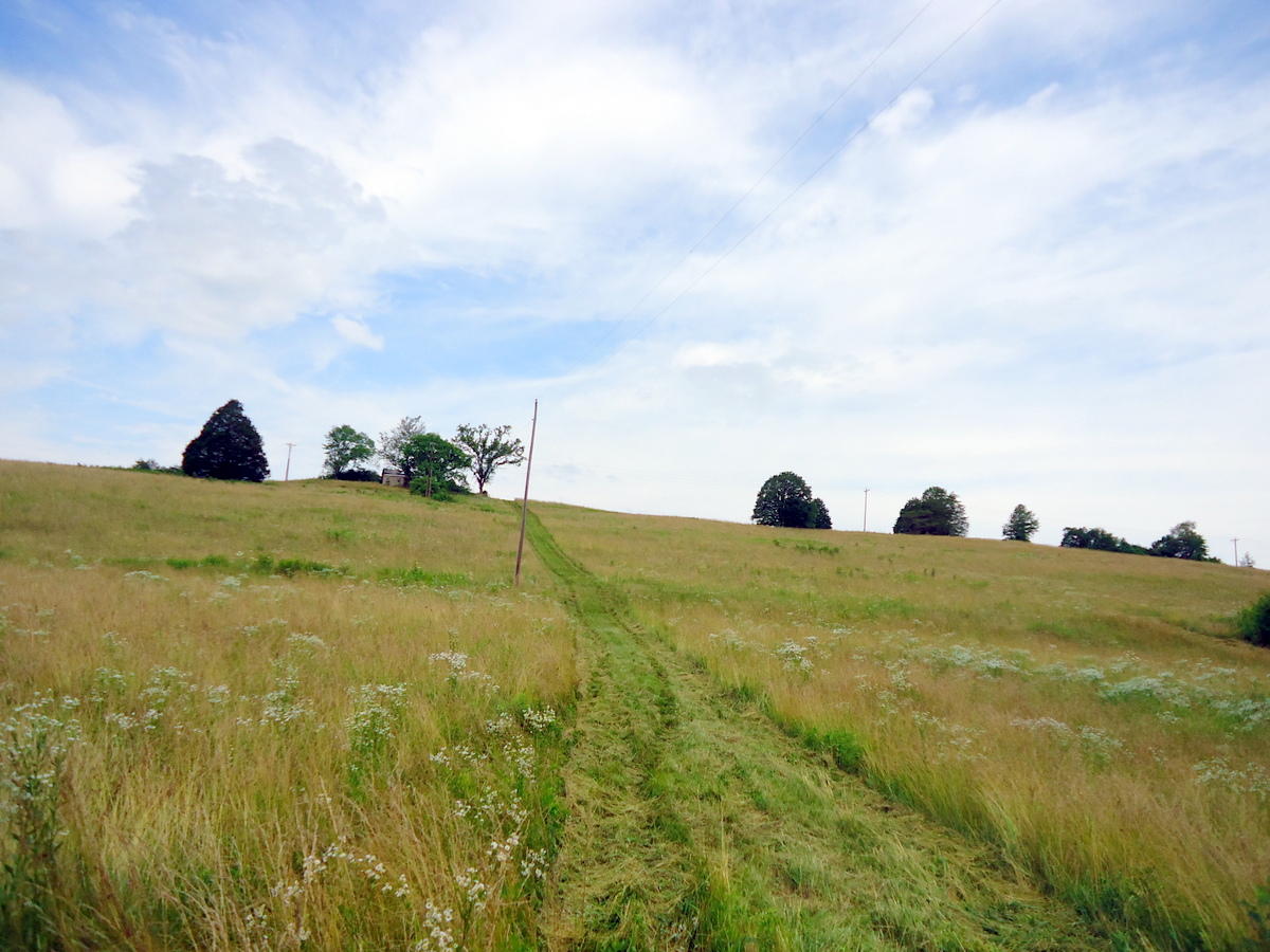 Sinking Cave Road Tellico Plains, TN 37385 - Photo 16 of 35 15-DSC08124