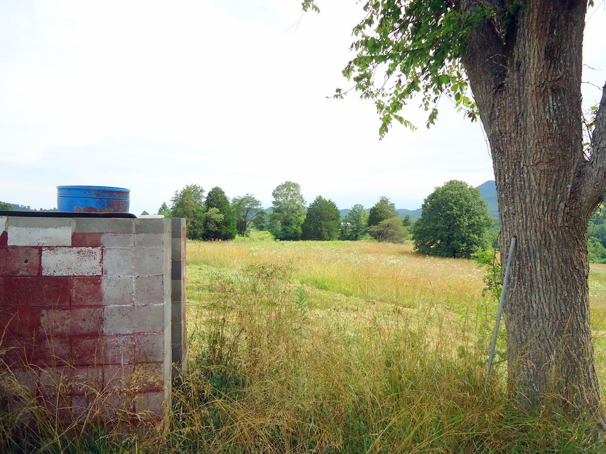 Sinking Cave Road Tellico Plains, TN 37385 - Photo 18 of 35 17-DSC08110